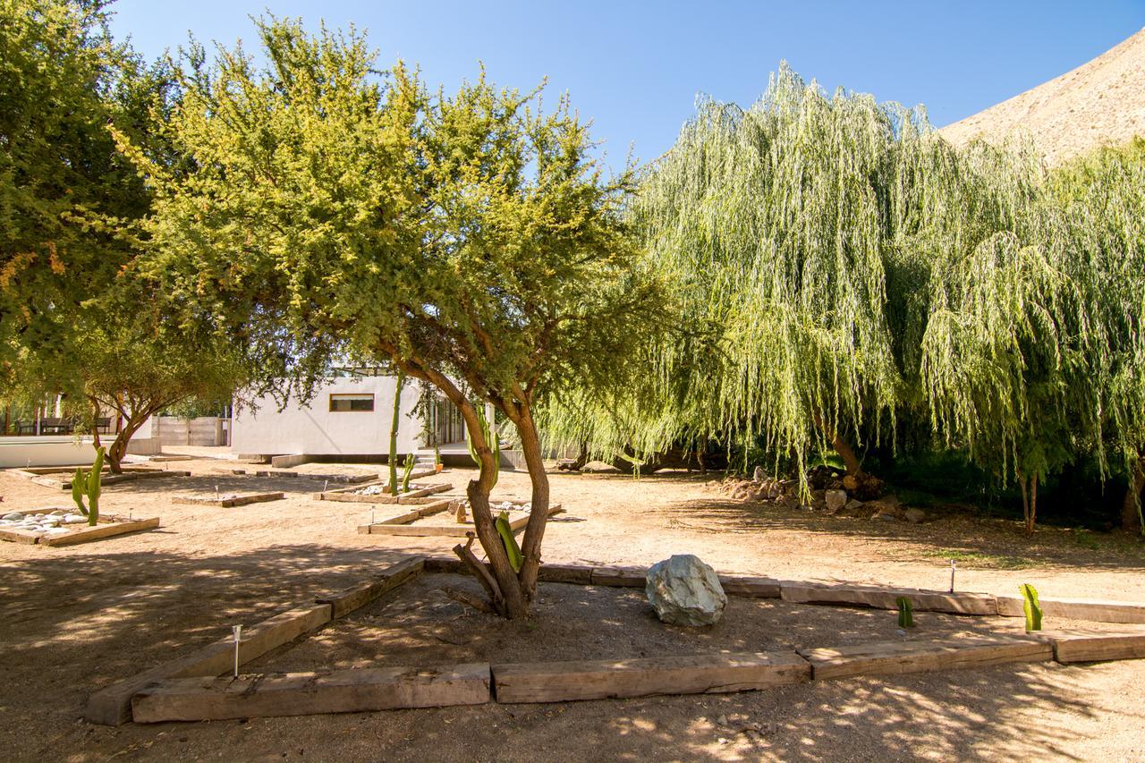 Aldea del Valle - Elqui Villas, Pisco Elqui Esterno foto